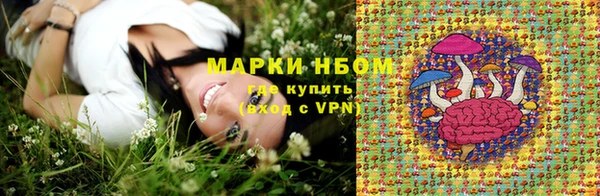 ГАЛЛЮЦИНОГЕННЫЕ ГРИБЫ Бронницы